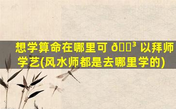 想学算命在哪里可 🌳 以拜师学艺(风水师都是去哪里学的)